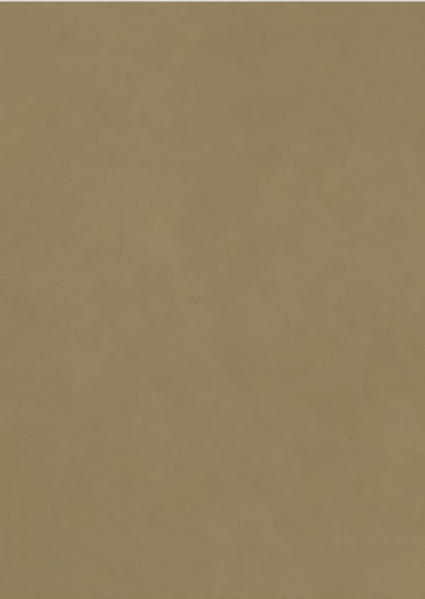 Microbeton 113