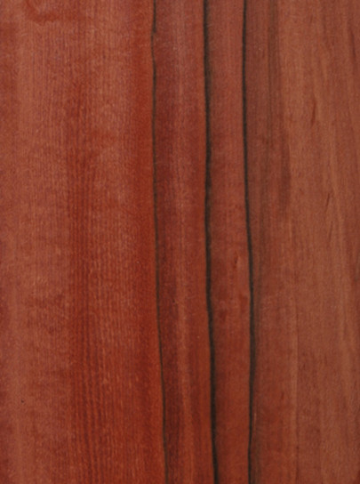 Jarrah Wood