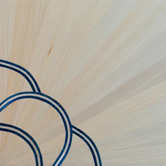 Coloured Wooden Veneer 100