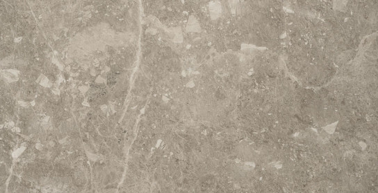 Active Beige
