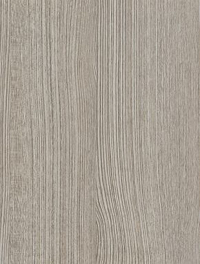 Oak 170