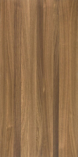 Walnut 120